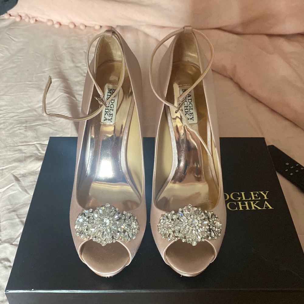Badgley Mischka Dallas pump in blush color size 9